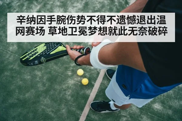 辛纳因手腕伤势不得不遗憾退出温网赛场 草地卫冕梦想就此无奈破碎