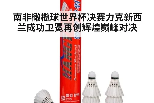 南非橄榄球世界杯决赛力克新西兰成功卫冕再创辉煌巅峰对决