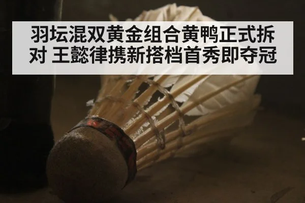 羽坛混双黄金组合黄鸭正式拆对 王懿律携新搭档首秀即夺冠